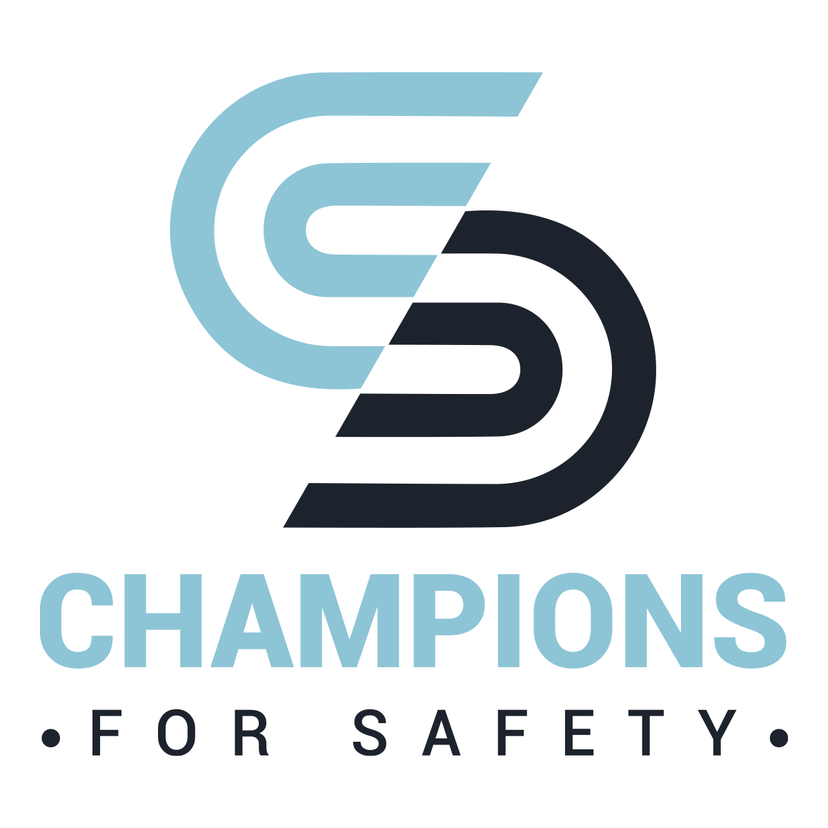 Champions For Safety